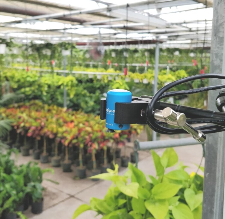 When you use two clamps, you can use it to hold other devices, like this PAR sensor for measuring/recording light data at the nursery.